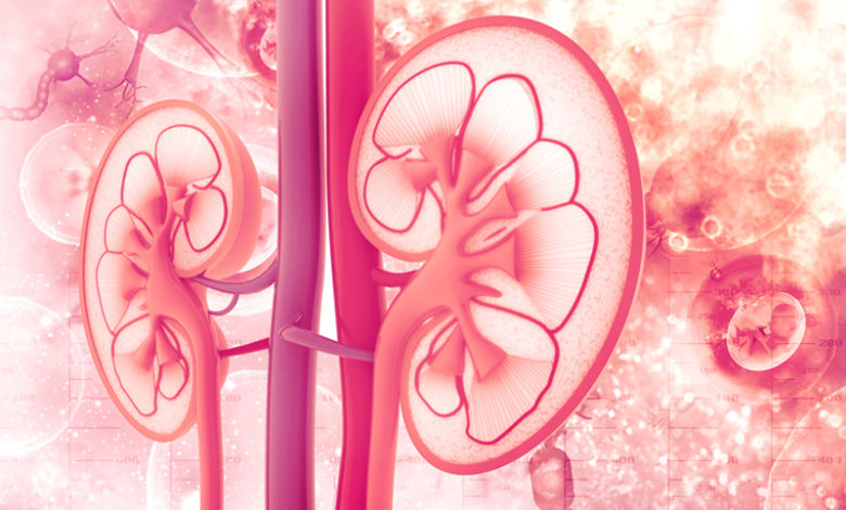 Todo lo que debes saber sobre el cáncer de células renales