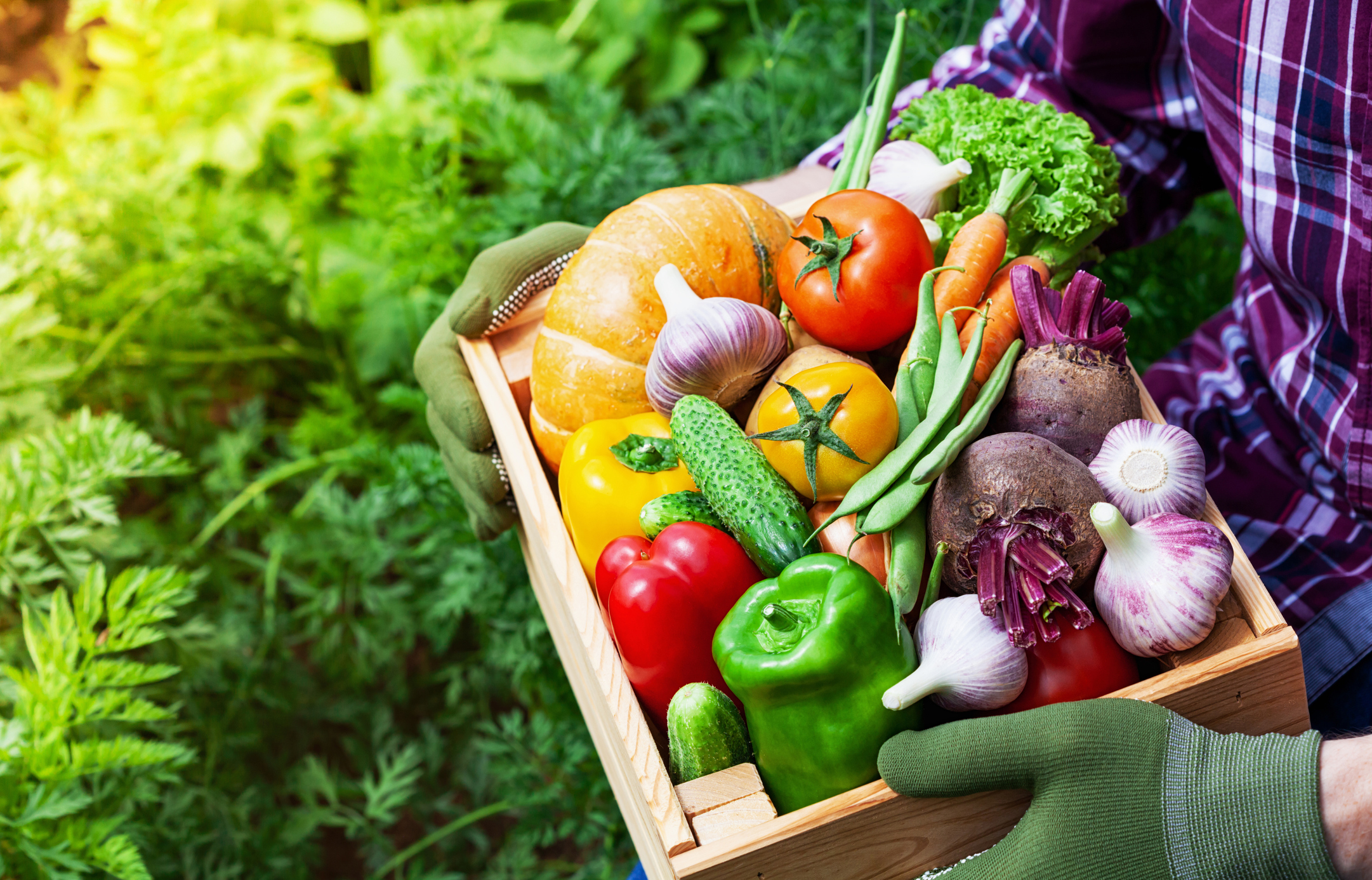 Colitis ulcerosa, la importancia de la dieta