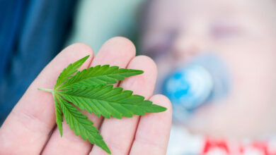 Estudio de los NIH sugiere que el uso de cannabis puede reducir las posibilidades de embarazo