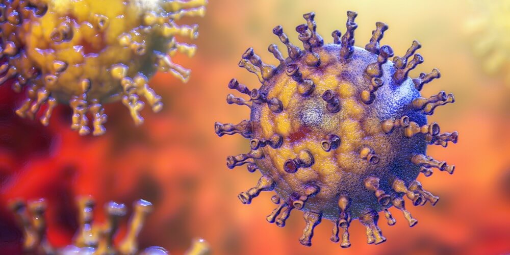 Virus de la varicela-zóster que causa el Ramsay-Hunt Syndrome que padece Justin Bieber