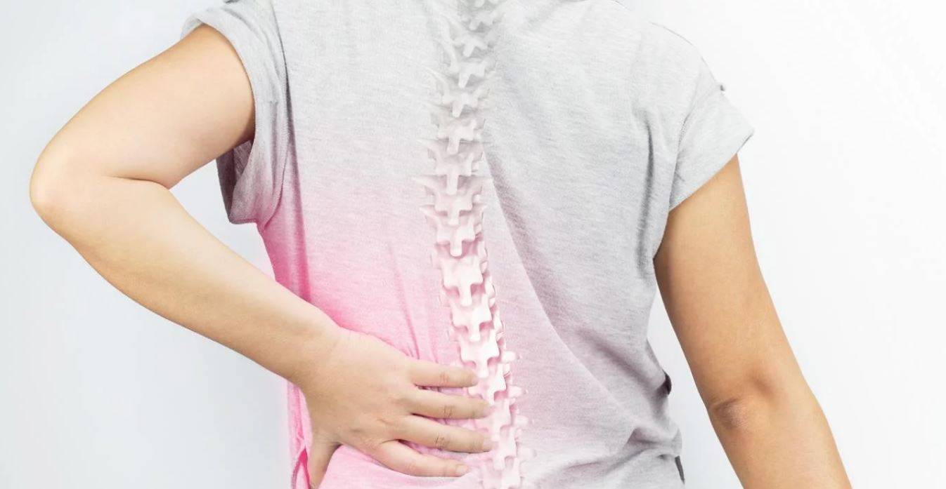 El mieloma múltiple hace que las células cancerosas se acumulen en la médula ósea, donde desplazan a las células sanguíneas sanas.