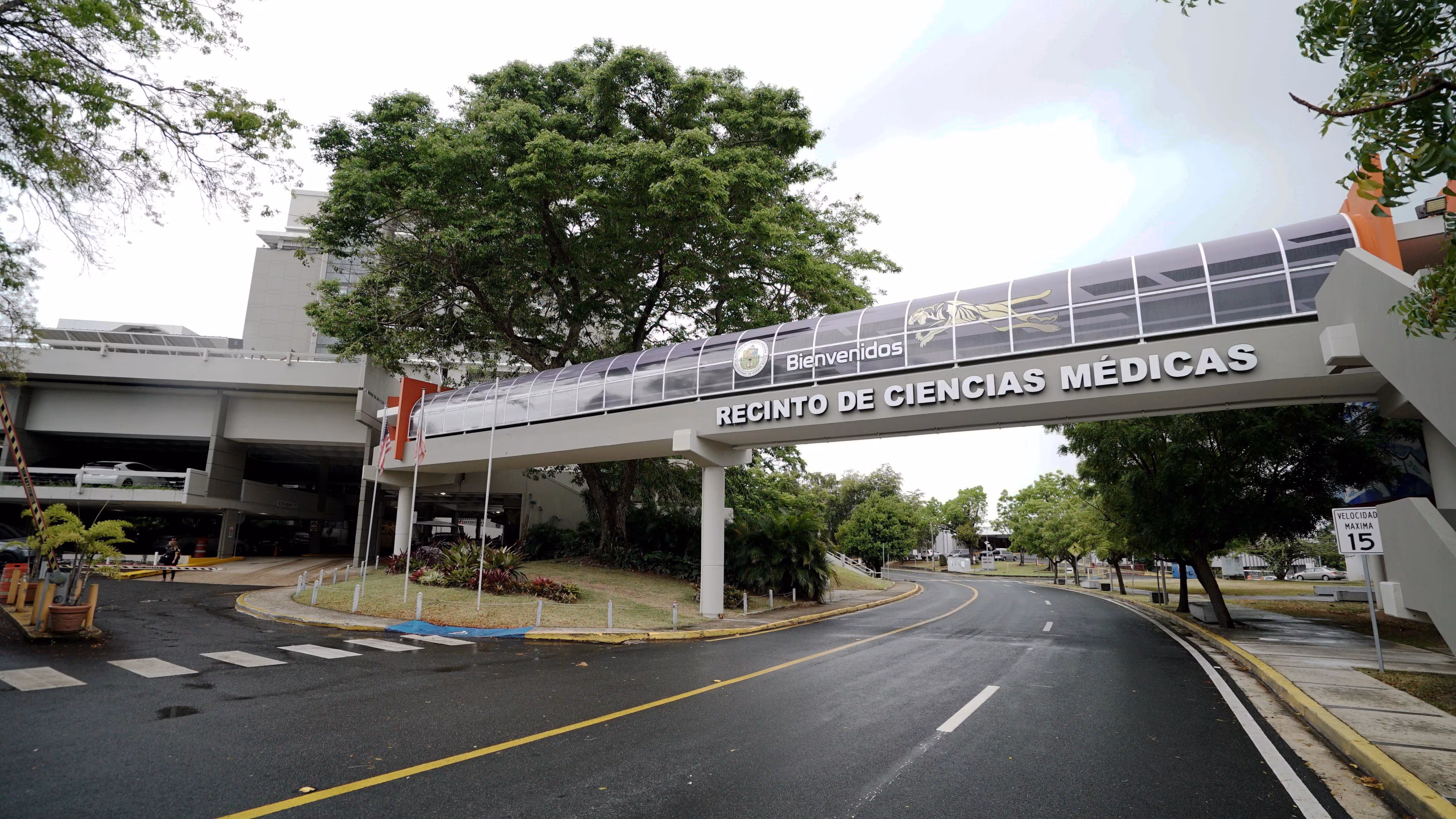 RCM solicita acreditación programa neurocirugía