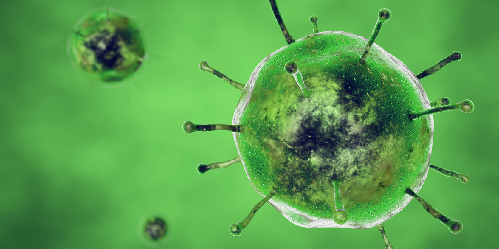 Virus
