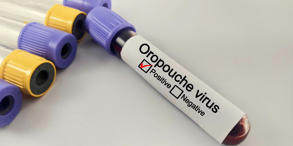 Virus