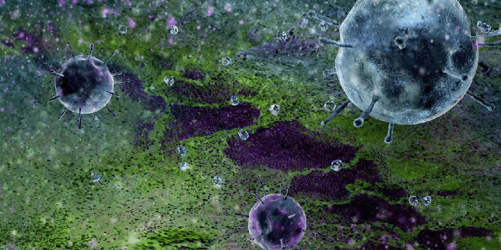 Bacterias