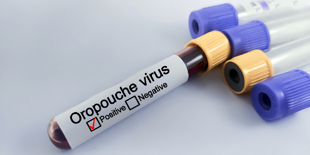 Oropouche