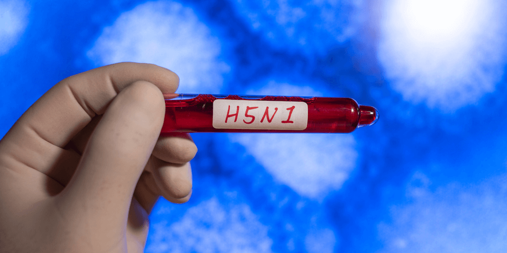 H5N1