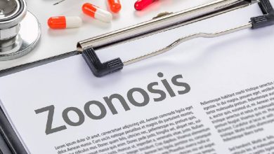 Zoonosis