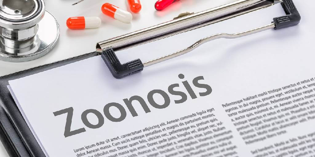 Zoonosis