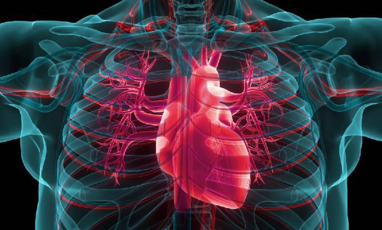 Fibrilación auricular