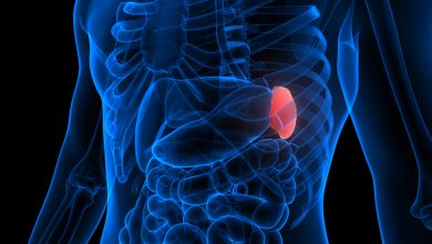 3D Illustration Concept of Spleen a Part of Human Internal Organ System Anatomy X-ray 3D rendering