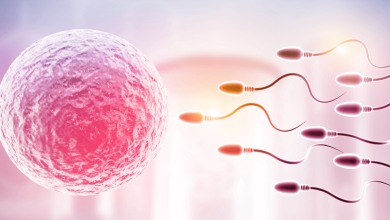 Fertilidad