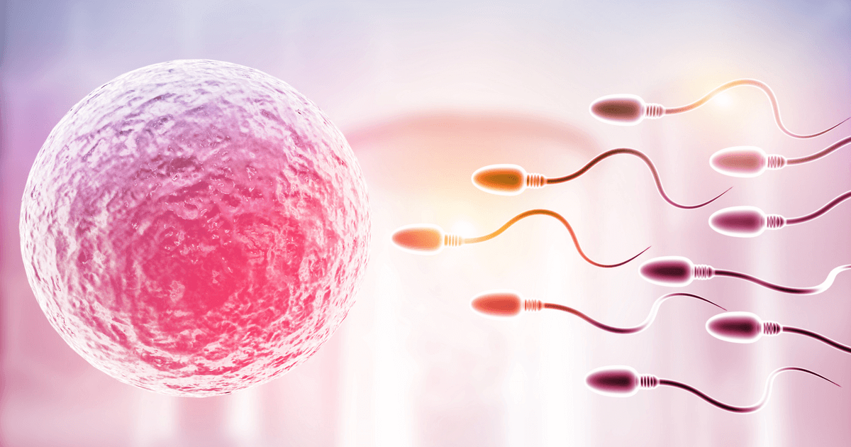 Fertilidad