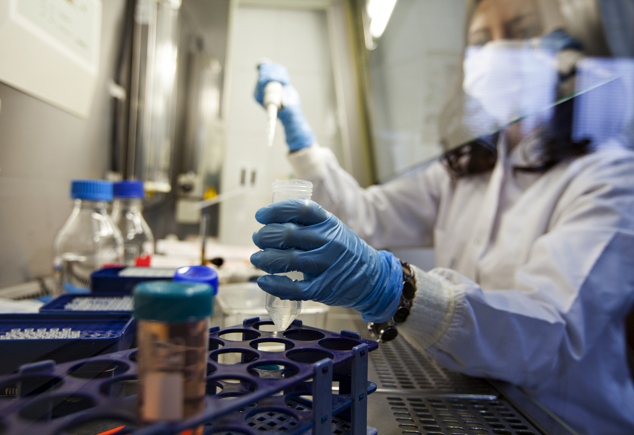 La optimización metabólica fisiológica consiste en aplicar una carga de trabajo que somete al organismo a un estrés físico y psíquico medible mediante parámetros biológicos.
