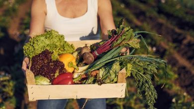 Seguridad alimentaria y equidad de género