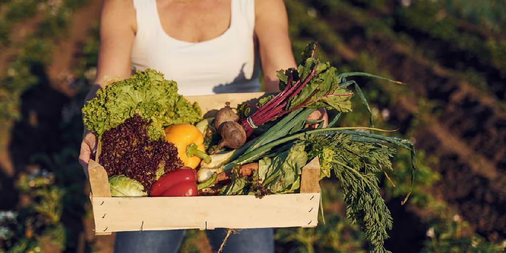 Seguridad alimentaria y equidad de género