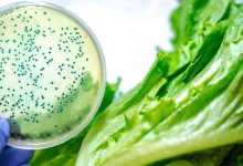 La listeria es causada por bacterias que pueden proliferar a bajas temperaturas, como las del refrigerador.