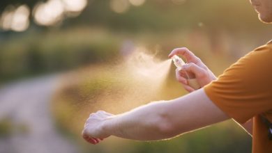 Nuevo kit de herramientas contra el dengue para municipios, comunidades y organizaciones